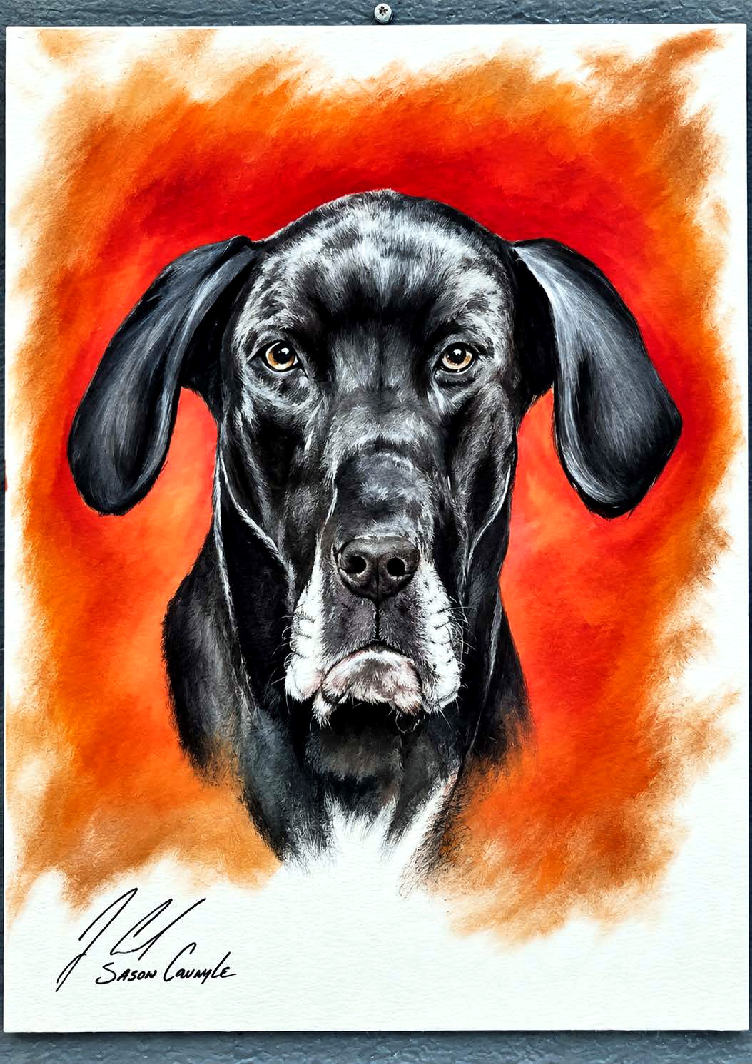Big Dog — Our Mascot